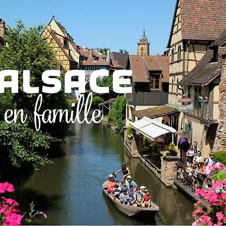 Ville Centre - Gite Le Villois - Au Coeur De L'Alsace Exterior foto