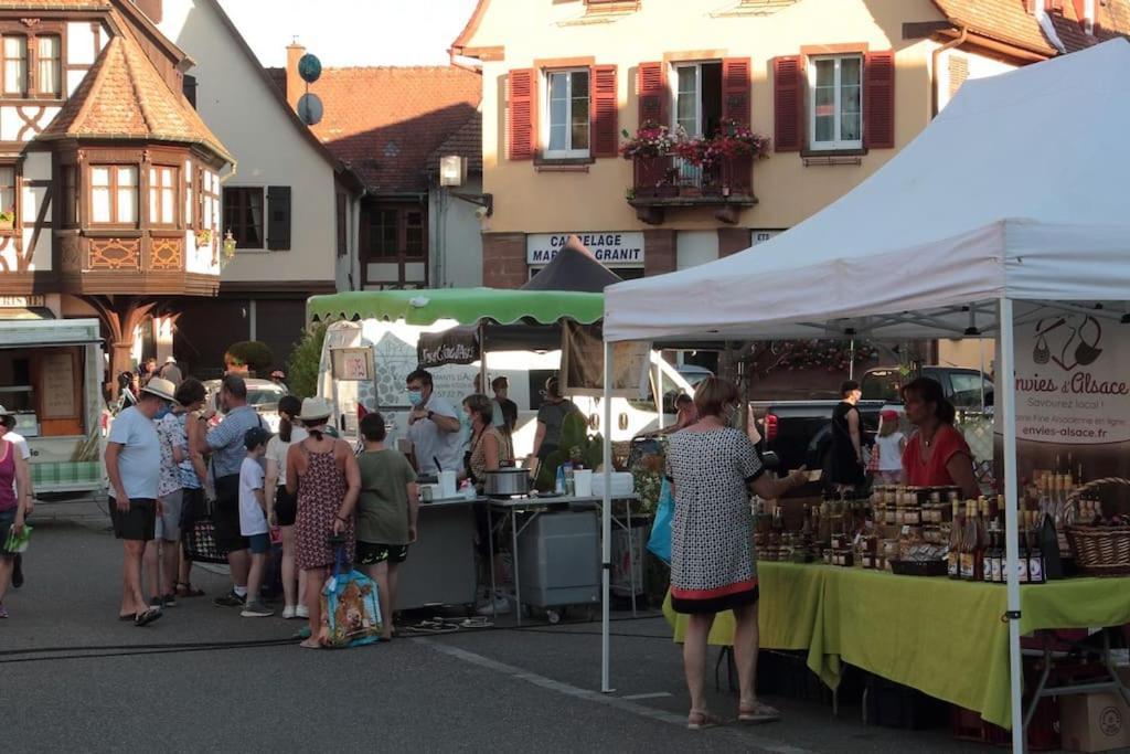 Ville Centre - Gite Le Villois - Au Coeur De L'Alsace Exterior foto
