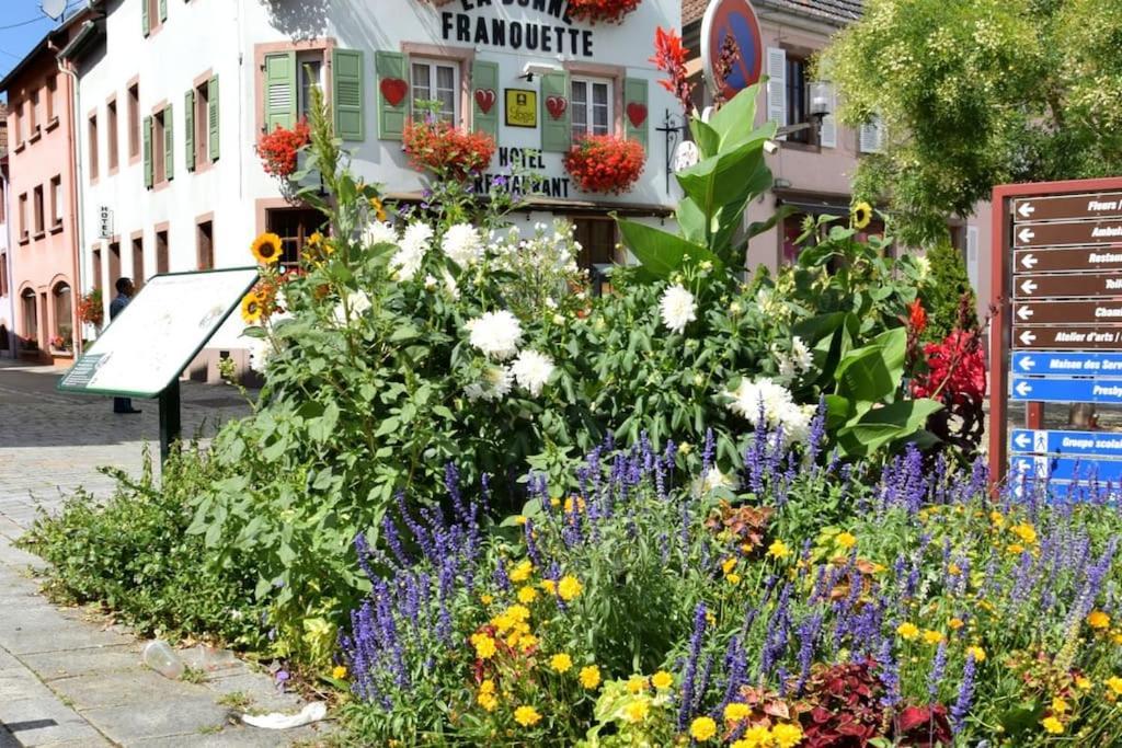 Ville Centre - Gite Le Villois - Au Coeur De L'Alsace Exterior foto