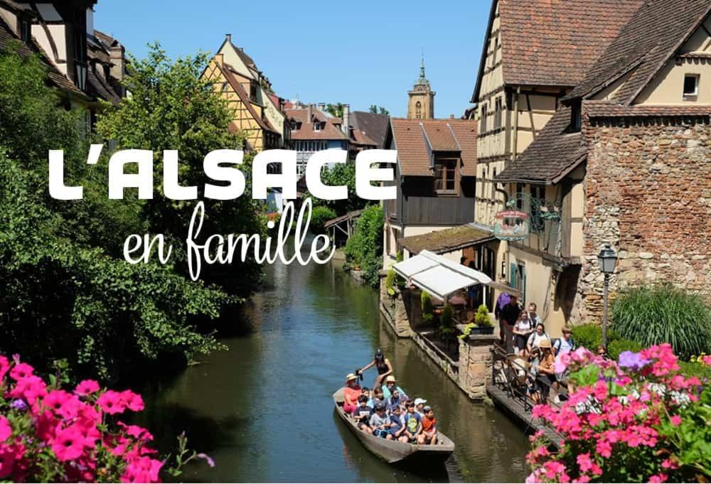 Ville Centre - Gite Le Villois - Au Coeur De L'Alsace Exterior foto