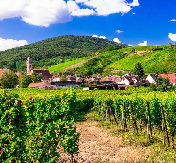 Ville Centre - Gite Le Villois - Au Coeur De L'Alsace Exterior foto