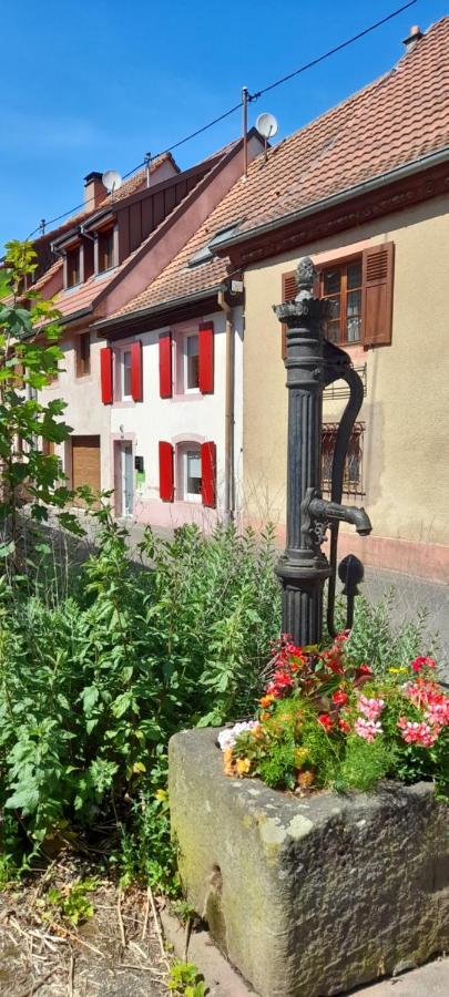 Ville Centre - Gite Le Villois - Au Coeur De L'Alsace Exterior foto